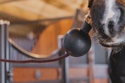 Kentucky Rubber Ball Protection wall &amp; lead