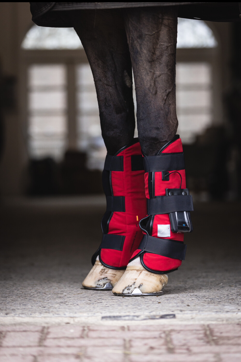 SportInnovations Pulsating magnetic leg wraps (1 pair)