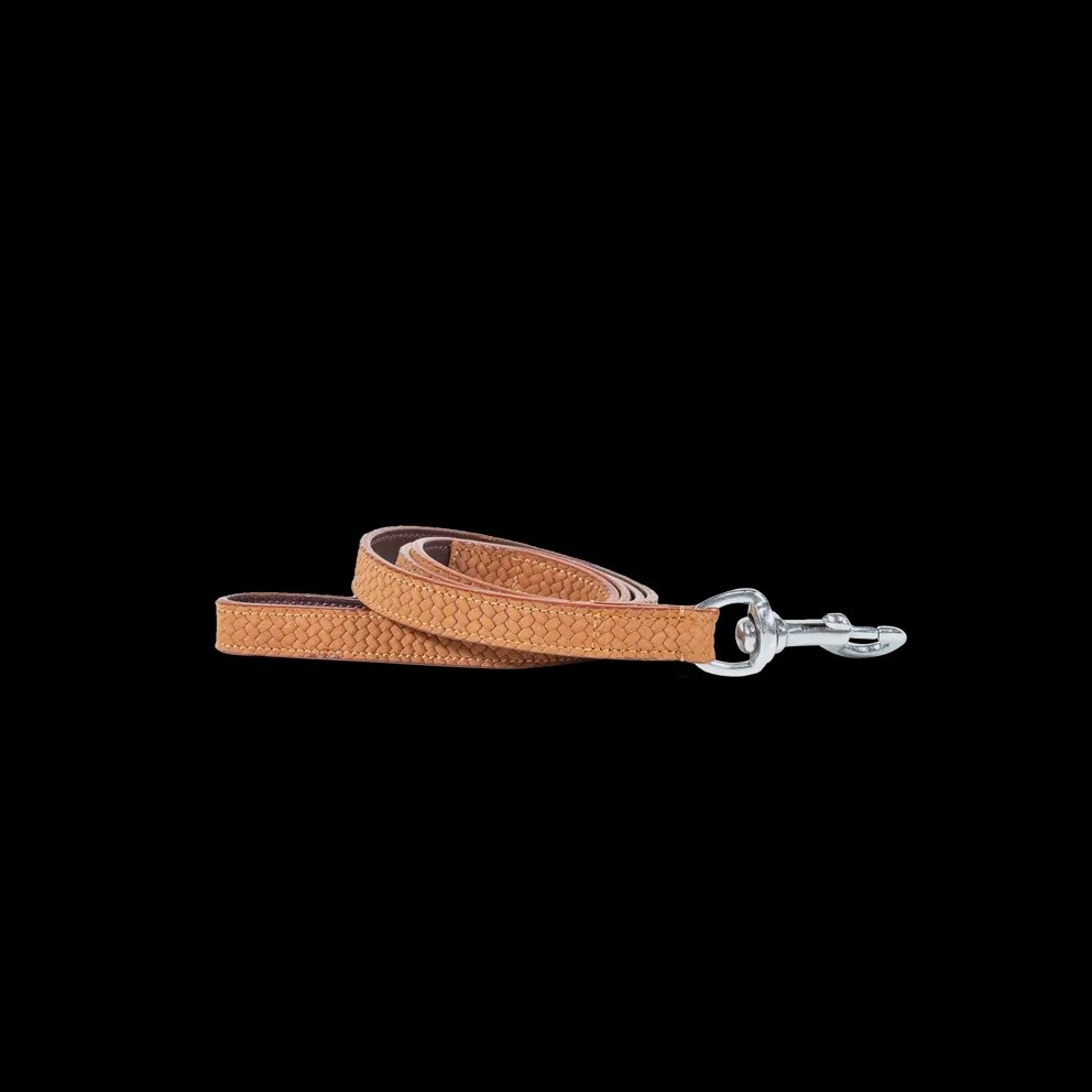 Basket Dog Leash 1m, Color: Tan