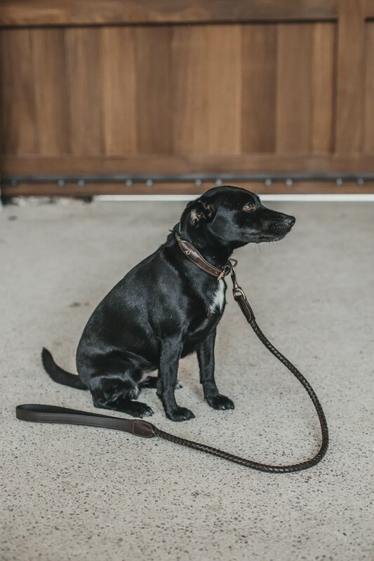 Dy&#39;on Braided Dog Leash Brown 1m