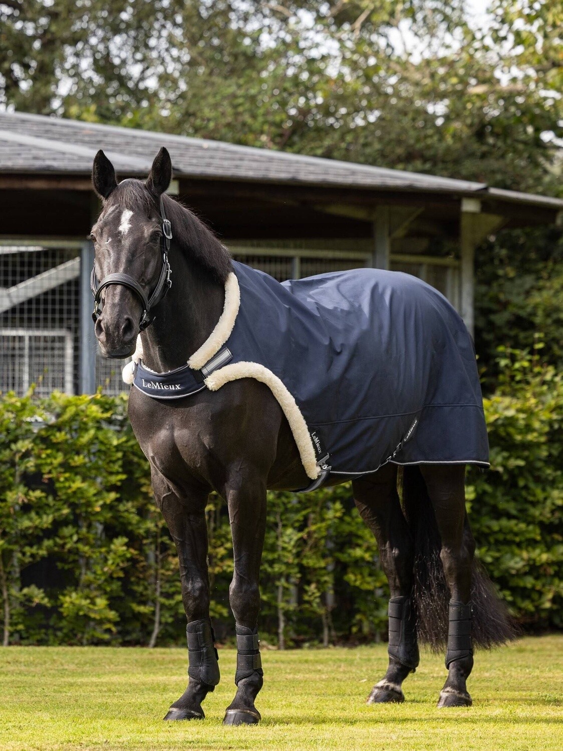 LeMieux Walker Stepmill Blanket Navy Large