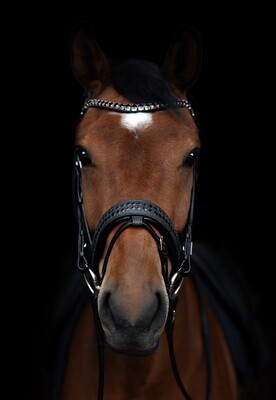 Olympic Hoofdstel Crystal Black Silver With Empire Browband Clear Full