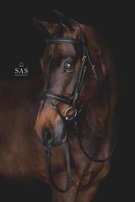 Utzon Grand Prix Headstall