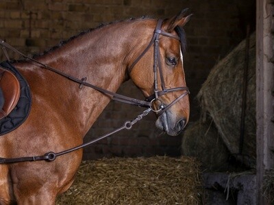 Pirelli Side Reins Black