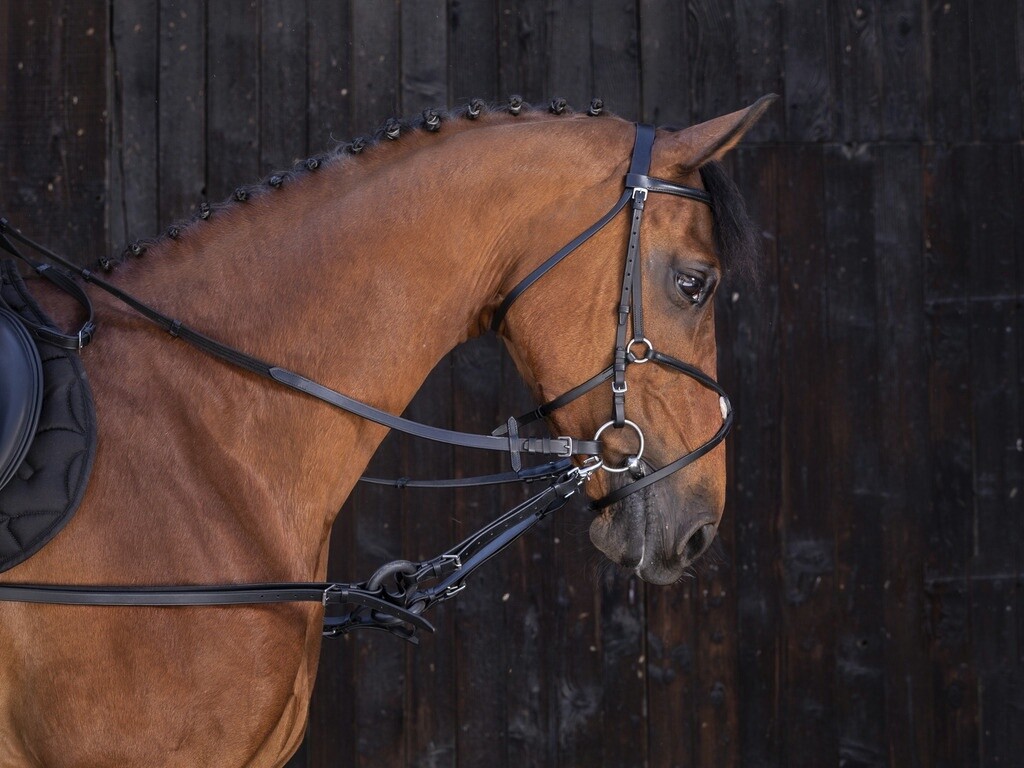 Rubber Side Reins Black