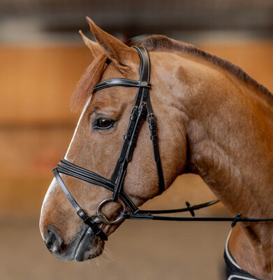 HFI Bridle Padded