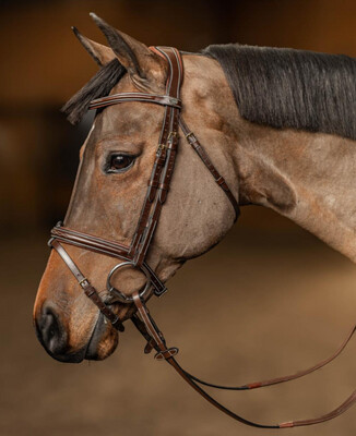HFI Bridle Pro Line Milano