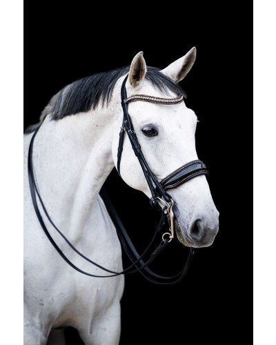 HB Showtime All You Needed Stang &amp; Trens, Color: Black/Gold, Size: Full