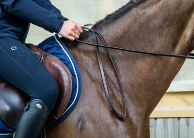 Dy&#39;on 1/2 Full Leather Bar &amp; Snaffle Reins