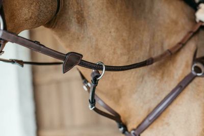Dy&#39;on 1/2&#39;&#39; Rubber reins with 7 leather loops and plaited finishing