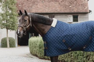Kentucky Stable Horse Blanket 400g