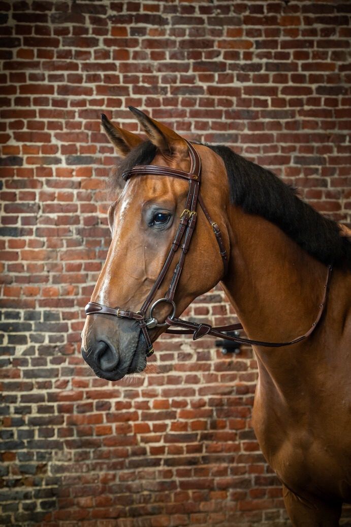 Adjustable Drop Noseband Hoofdstel Brown Full