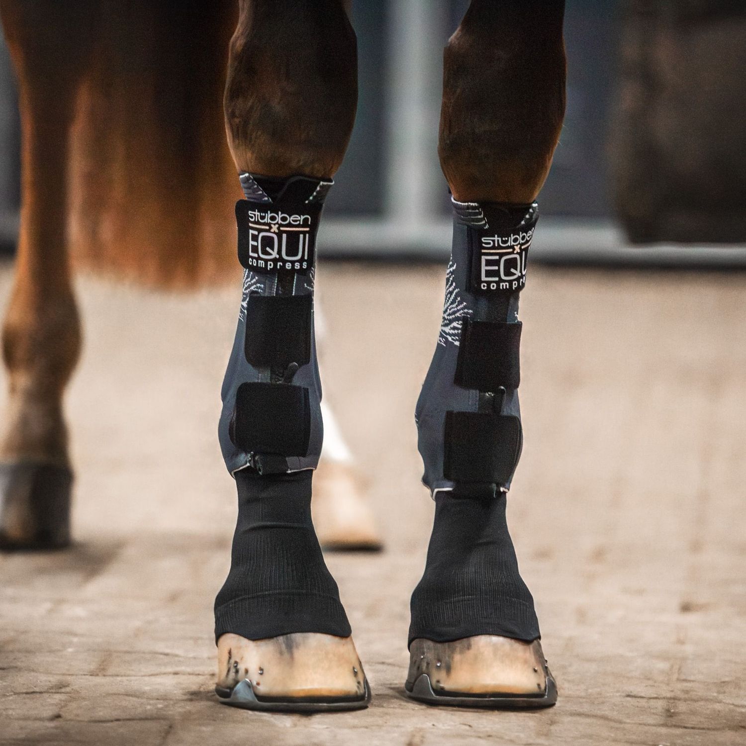 Stübben EQUI Compress, Size: Front L
