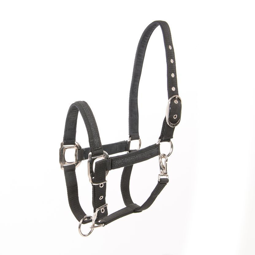 Lami-Cell Headcollar Galaxy, Color: Black, Size: Pony