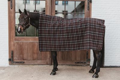 Kentucky Heavy Fleece Horse Blanket Square Check Printing Brown