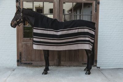 Kentucky Heavy Fleece Horse Blanket Square Stripes Brown