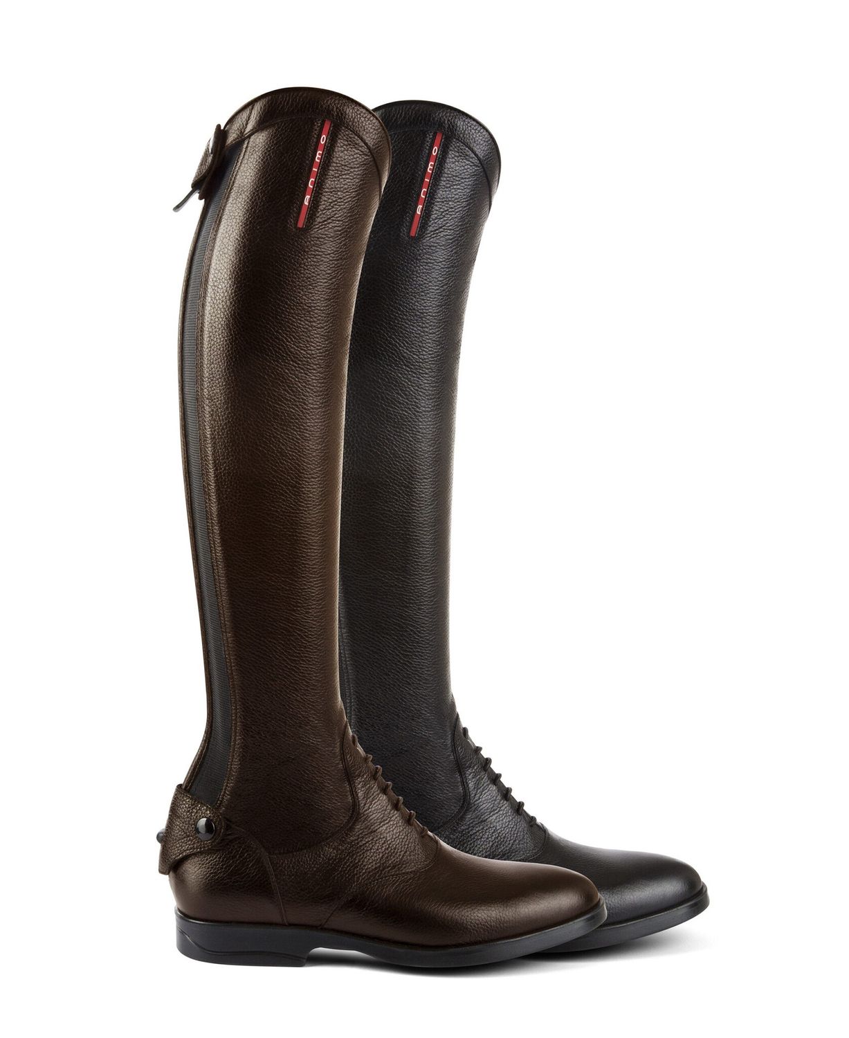 Animo Zodiak Riding Boots, Color: Black, Size: 38, Kuit/Hoogte: XL