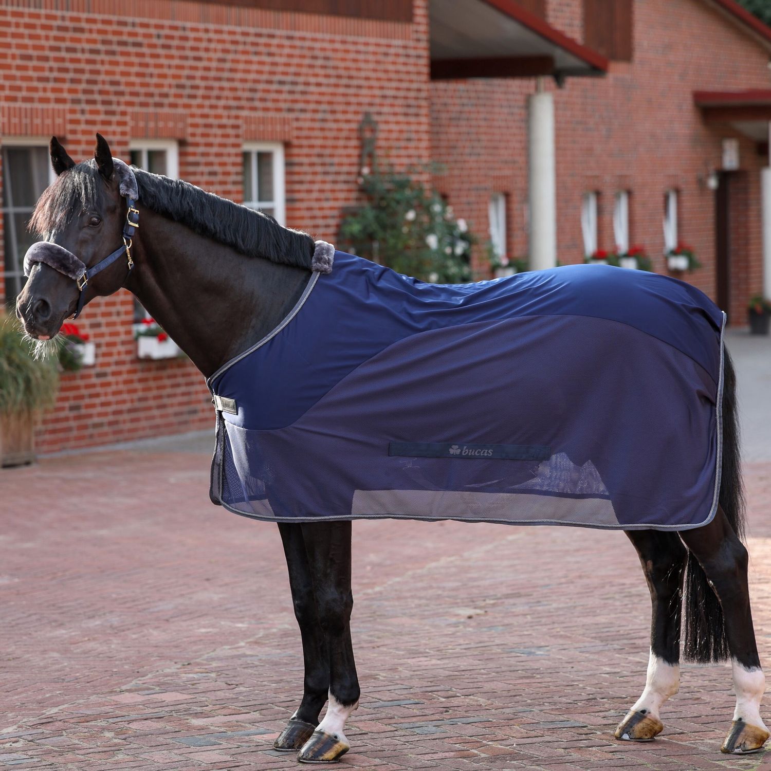 Bucas Show-Line Competition Cooler, Color: Navy, Size: 145/195/6.6