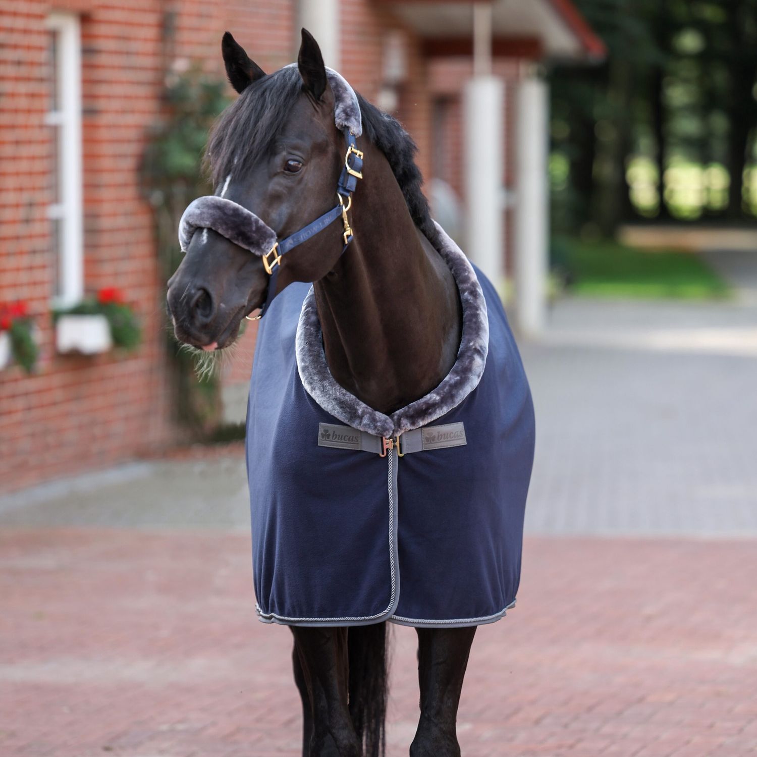 Bucas Show-Line Fleece Show Blanket, Color: Navy/Grey, Dikte: 400g, Size: 165/215/7.0