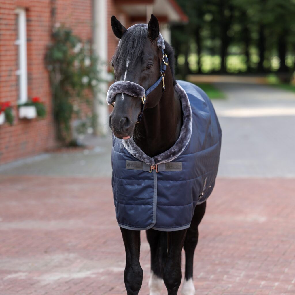Bucas Show-Line Stable Rug, Color: Navy/Grey, Dikte: 150g, Size: 125/175/5.9