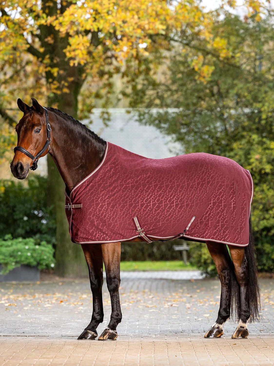 LeMieux Arika Monogram Fleece Horse Blanket, Color: Burgundy, Size: 145/195/6.6
