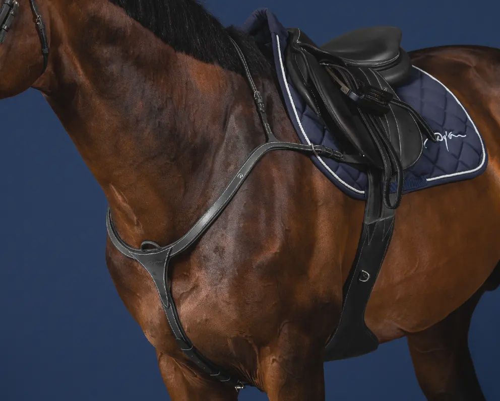Dy&#39;on Long Bridge Breastplate - US Hunter Collection, Color: Black, Size: Full
