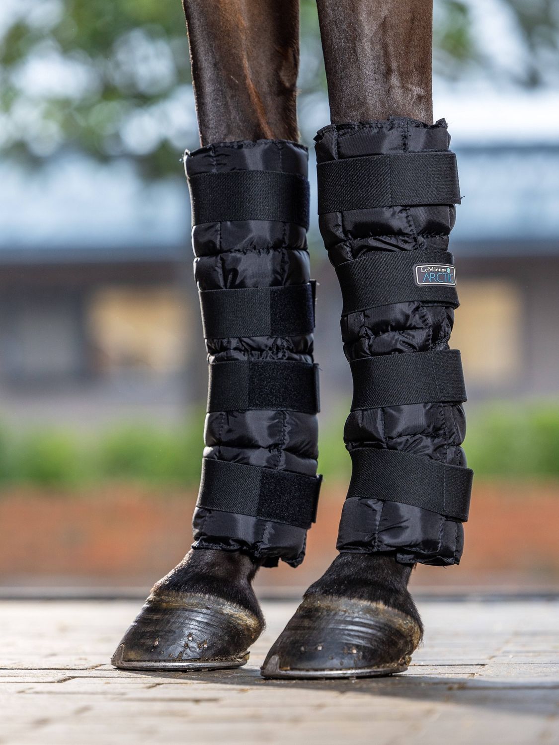 LeMieux Arctic Ice Boot (1 pair) Black