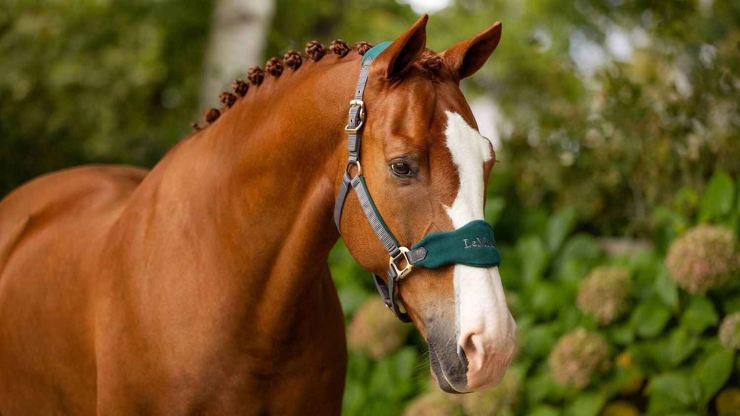 Vogue Headcollar &amp; Leadrope, Color: Spruce, Size: Cob