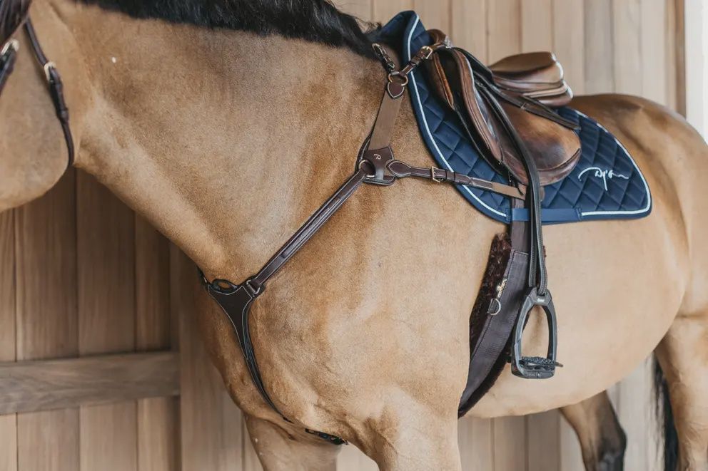 Dy&#39;on 5 Points Breastplate with elastic, Color: Bruin, Size: Full