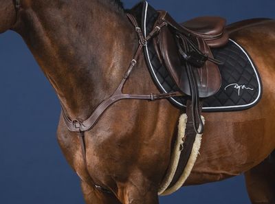 Dy&#39;on 5-Point Breastplate