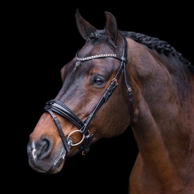 Imperial Riding Bridle IRHOlympia