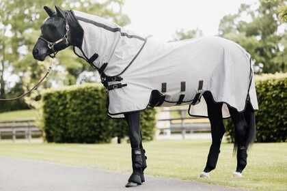 Tapis Kentucky Fly