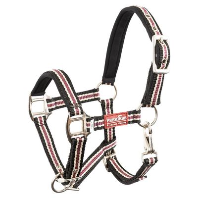 Premiere Foal Halter Vivid