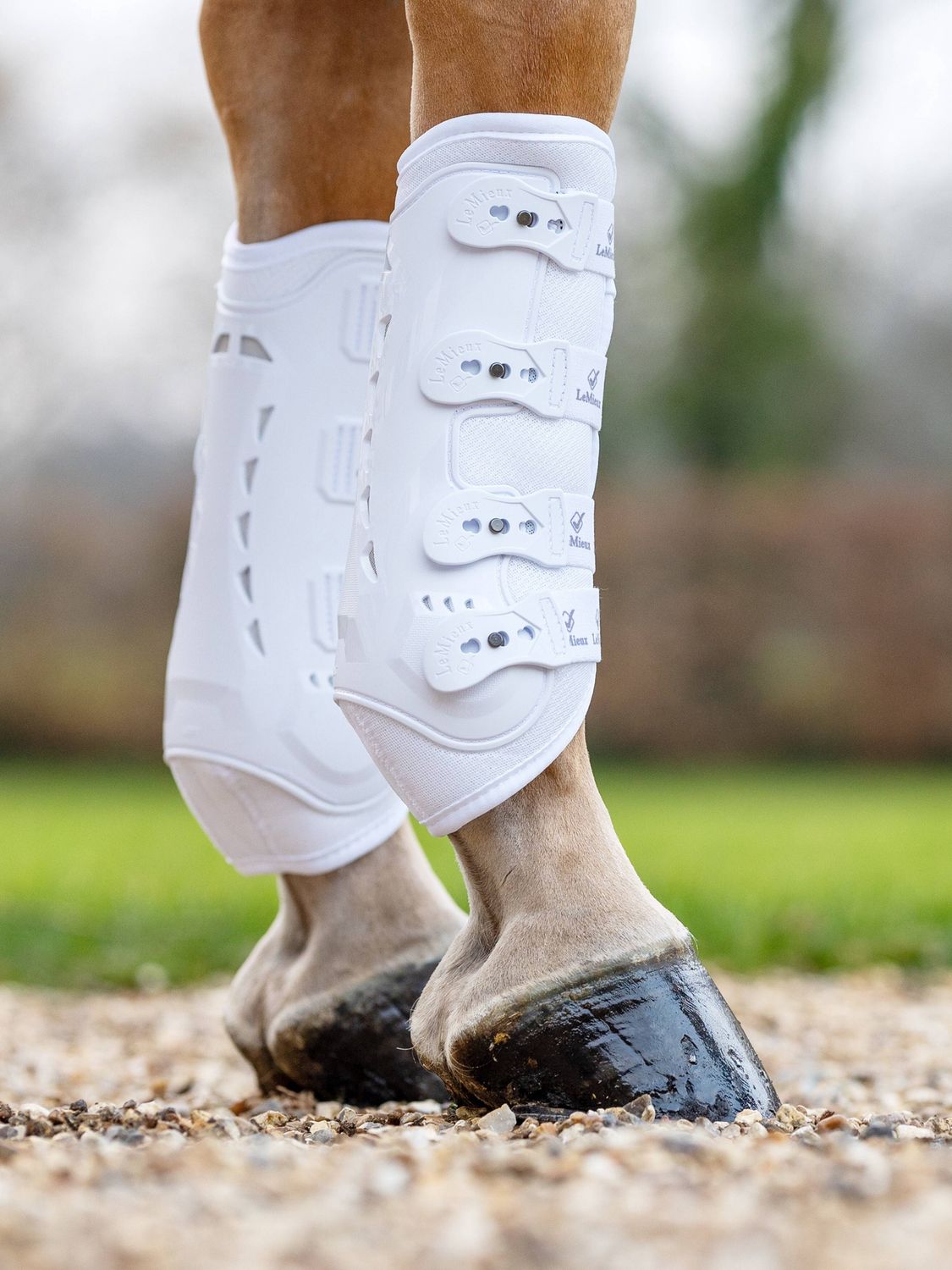LeMieux Ultra Mesh Snug Boots Tendon Protectors
