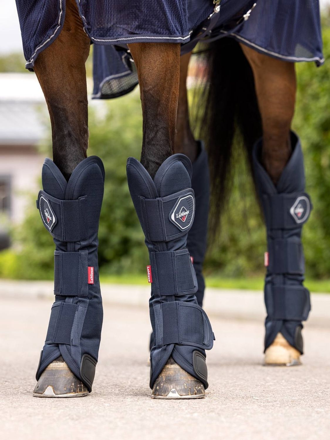 LeMieux Transport Protectors, Color: Navy, Size: Cob