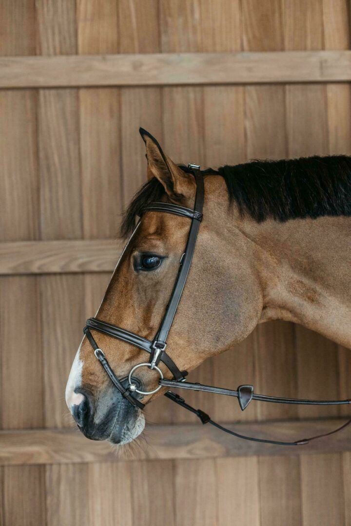 Dy&#39;on Training Bridle Full Working Collection, Color: Brown, Size: Full