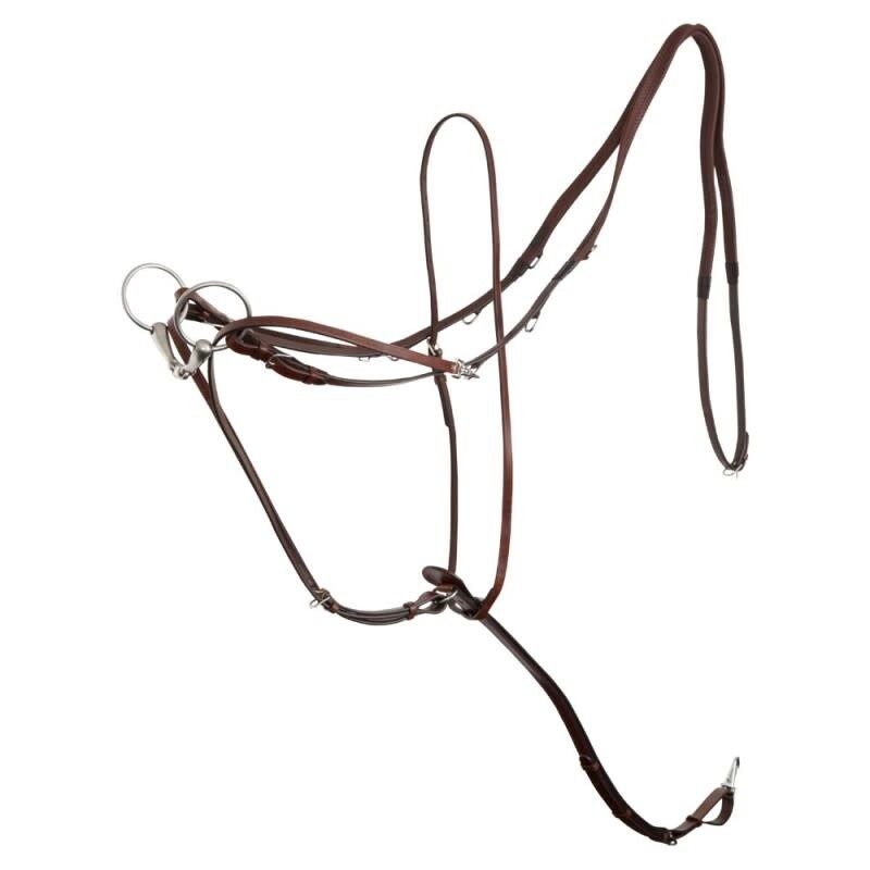 BR Thiedemann Reins Lancaster, Color: Oak/Zilver, Size: Full