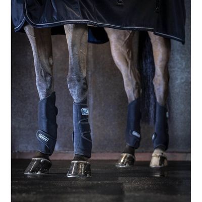 LeMieux Tendon Chill Boots - Rafraîchissant (paire)