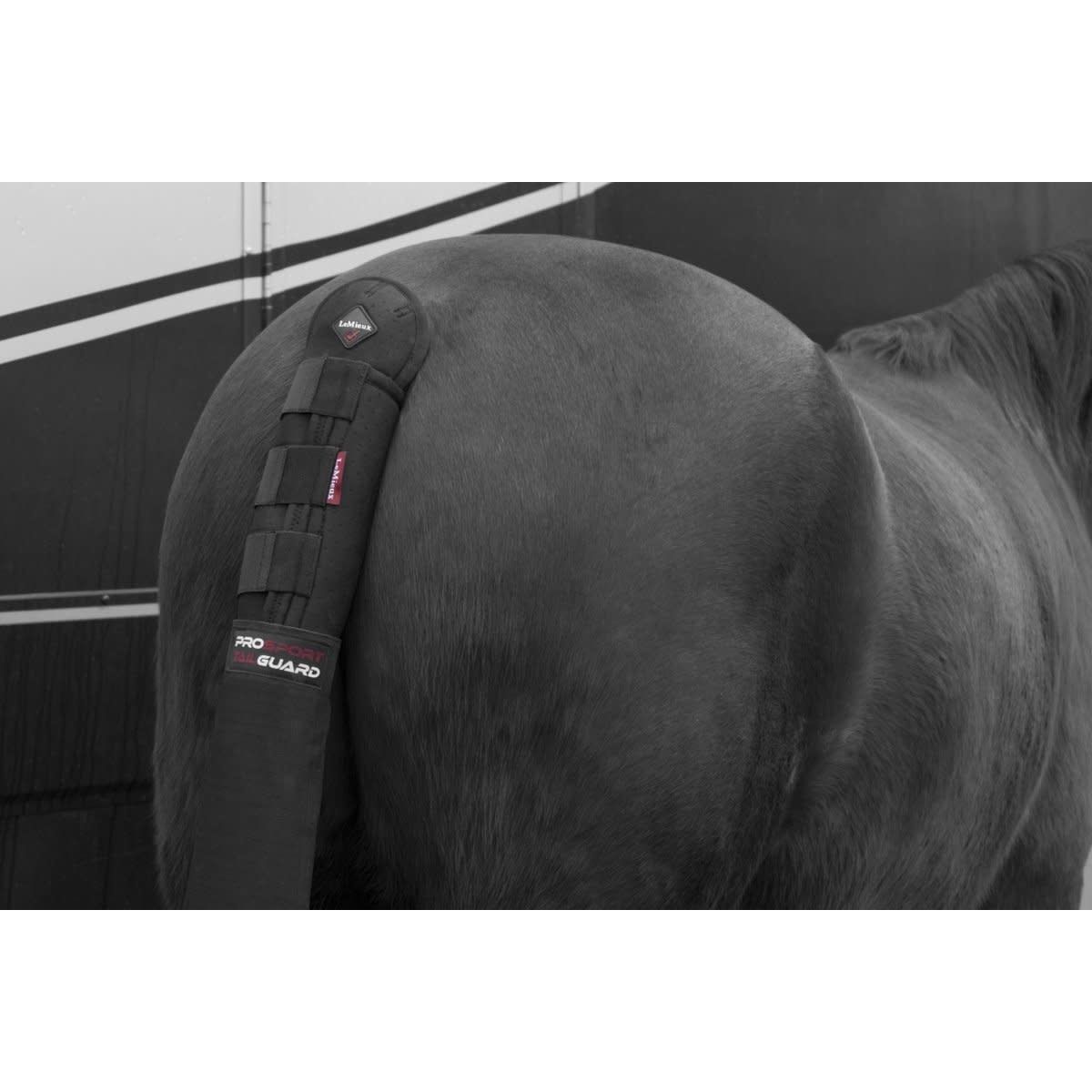 LeMieux Tail protector with pocket, Color: Black