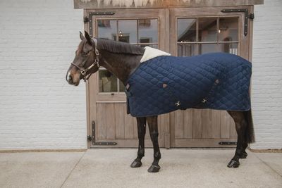 Kentucky Stable Horse Blanket Comfort