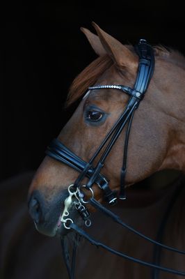 LJ Leathers Rod &amp; Snaffle Limited Stellux browband round sewn