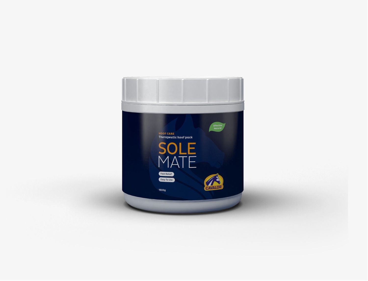 SoleMate, Size: 1.6kg