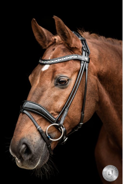 Soraya Rod And Snaffle Sewn Round, Color: Black, Size: Full