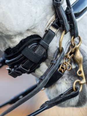 LeMieux Simuwool noseband protector
