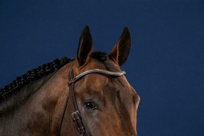 Dy&#39;on Silver Clincher V-Shaped Browband Hunter