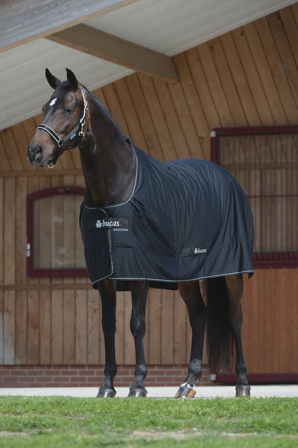 Bucas Shamrock Power All-in-1 Blanket Maddelin, Color: Black Gold, Size: 100/150/5.0