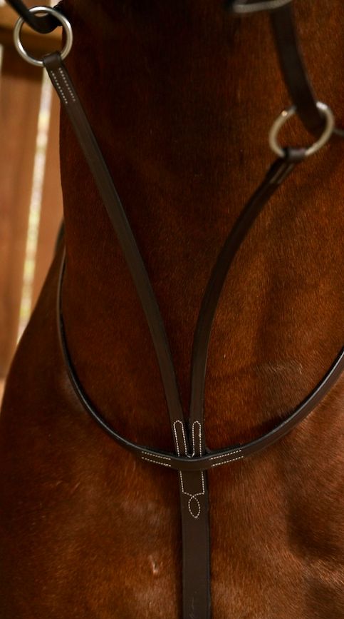 Dy&#39;on Running Martingale - Working Collection, Color: Brown, Size: Pony