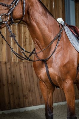 Dy&#39;on Running Martingale - Working Collection