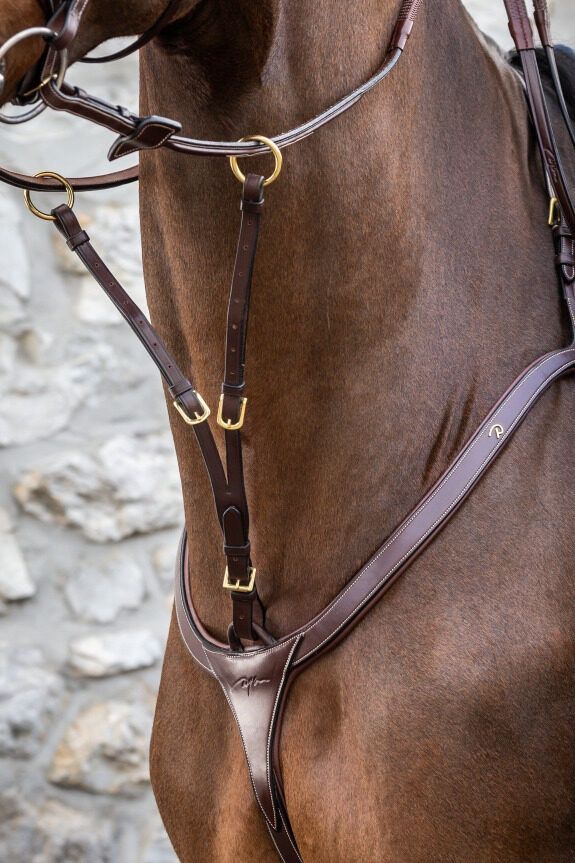 Dy&#39;on Running Martingale Attachment - D Collection, Color: Bruin, Size: Full