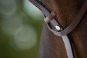 HFI Running Martingale HFI, Color: Brown, Size: Full